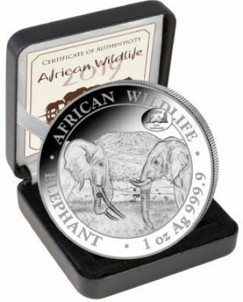 100 Schilling Somalia 2019 - Elefant/ANA