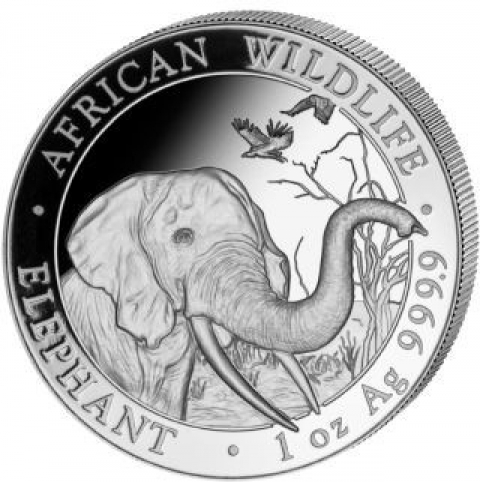 100 Schilling Somalia 2018 - Elefant