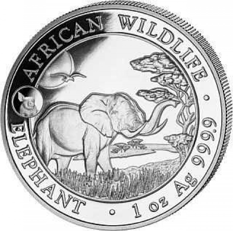 100 Schilling Somalia 2019 - Elefant/Schwein