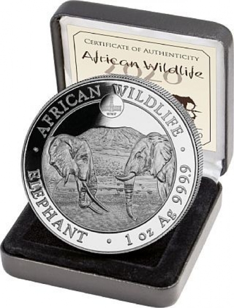 100 Schilling Somalia 2020 - Elefant/WMF