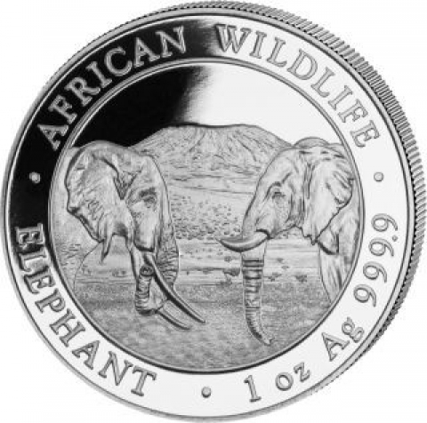 100 Schilling Somalia 2020 - Elefant