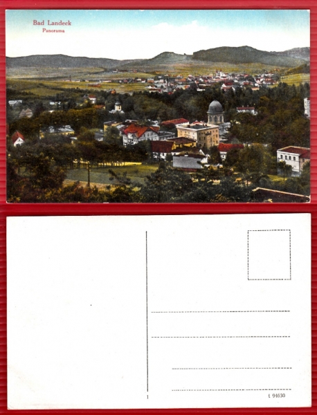 AK Bad Landeck (Ladek-Zdrój), Panorama