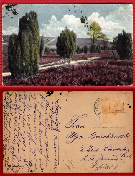 AK Prudiemen, Landschaft